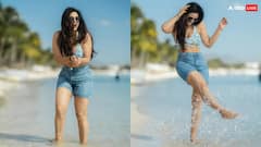 बिकिनी संग शॉर्ट्स पहन पानी की लहरों से खेलती दिखीं श्वेता तिवारी, तस्वीरों ने बढ़ाया इंटरनेट का पारा