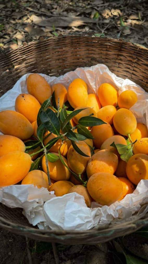 आम खाने से दूर होती हैं ये बीमारियां