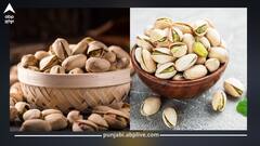 ਜ਼ਿਆਦਾ ਪਿਸਤਾ ਖਾਣ ਨਾਲ ਖੜ੍ਹੀਆਂ ਹੋ ਸਕਦੀਆਂ ਇਹ ਦਿੱਕਤਾਂ! ਫਾਇਦੇ ਦੀ ਥਾਂ ਹੋ ਜਾਏਗਾ ਨੁਕਸਾਨ