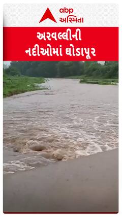 Arvalli Heavy Rain News: ધોધમાર વરસાદ તૂટી પડતા અરવલ્લીની નદીઓમાં આવ્યું ઘોડાપૂર