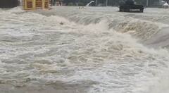 नाशिकमध्ये पावसाचं जोरदार कमबॅक, धरणांमधून नदीपात्रात पाण्याचा विसर्ग, गोदावरी नदीची पाणी पातळी वाढली