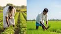 விவசாயிகளுக்கு அரசு வழங்கும் சூப்பர் திட்டங்கள்! மானியங்கள் To ஓய்வூதியம் வரை - உடனே தெரிஞ்சுக்கோங்க