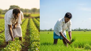 விவசாயிகளுக்கு அரசு வழங்கும் சூப்பர் திட்டங்கள்! மானியங்கள் To ஓய்வூதியம் வரை - உடனே தெரிஞ்சுக்கோங்க