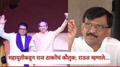 महायुतीच्या नेत्यांकडून राज ठाकरेंचं कौतुक, उद्धव ठाकरेंवर निशाणा; संजय राऊत म्हणाले...