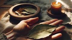 Vastu Tips for Happy Home: బిర్యానీలో వేస్తే రుచి, ఇంట్లో మూటకట్టి పెడితే ఐశ్వర్యం.. వాస్తు ప్రకారం ఈ ఆకు చాలా ప్రత్యేకం!