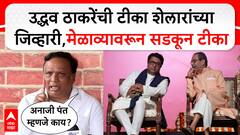 उद्धव ठाकरेंची टीका आशिष शेलारांच्या जिव्हारी; विजयी मेळाव्यावरुन हल्लाबोल, म्हणाले, अंधारात