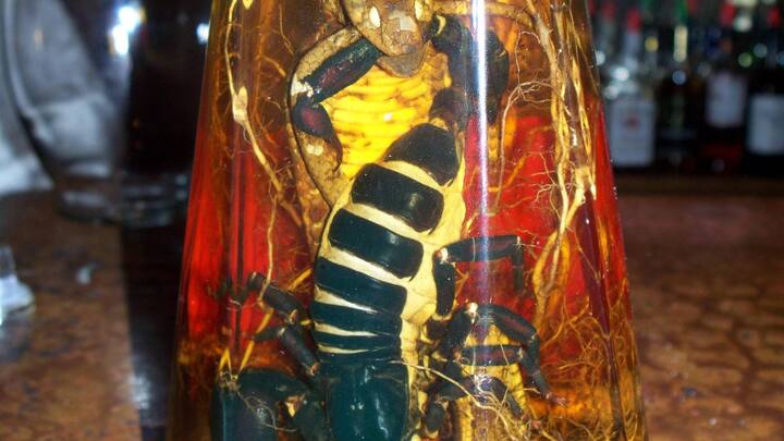 मेजकल (MEZCAL) अल्कोहलिक ड्रिंक है, जिसे मैक्सिको में पीया जाता है. ये एक टकीला है, जिसमें पूरा का पूरा साबुत बिच्छू मिला दिया जाता है. मेजकल (MEZCAL) अल्कोहलिक ड्रिंक है, जिसे मैक्सिको में पीया जाता है. ये एक टकीला है, जिसमें पूरा का पूरा साबुत बिच्छू मिला दिया जाता है.