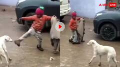 छोटे भाई की हिफाजत के लिए कुत्ते से भीड़ गया मासूम, वायरल वीडियो देख हो जाएंगे भावुक