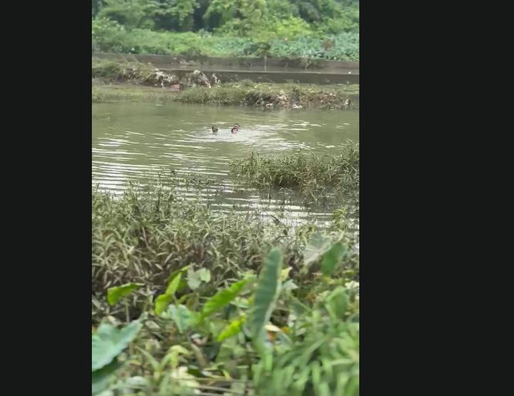 पुण्यातील राजाराम पुलावरून नदीपात्रात उडी घेऊन एका तरुणाने आत्महत्येचा प्रयत्न केल्याची धक्कादायक घटना समोर आली आहे.