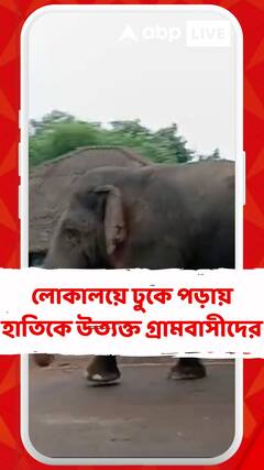লোকালয়ে ঢুকে পড়ায় হাতিকে উত্যক্ত গ্রামবাসীদের