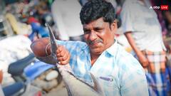 समुद्र में फंसे चार भारतीय मछुआरों को श्रीलंकाई नौसेना ने बचाया, दो हफ्तों में दूसरा मामला