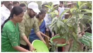 Telangana CM Revanth Reddy: రేవంత్ రెడ్డి సంచలన ప్రకటన; మహిళలకు 60 సీట్లు! మొక్కలు నాటండి, అధికారం మీదే!