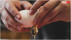 इन लोगों को कभी नहीं खाना चाहिए अंडा पराठा, वरना हो जाएगी इतनी दिक्कत