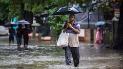Maharashtra Weather Update: राज्यात पुढील 2-3 दिवसांत पावसाचा जोर वाढणार, कारणं काय? रेड, ऑरेंज, यलो अलर्ट कुठे? वाचा