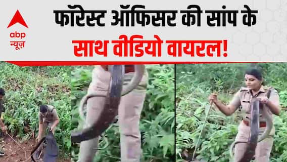 King Cobra rescue: King Cobra का Kerala की इस महिला वन अधिकारी ने 6 मिनट में किया रेस्क्यू | Viral
