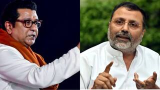 Nishikant Dubey on Marathi: मराठी भाषा न बोलणाऱ्या परप्रातीयांना मनसेकडून मारहाण, भाजप खासदार म्हणाले, 'आपल्या घरात कुत्राही वाघ असतो'