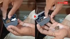 ये टेक्नोलॉजी का गलत इस्तेमाल है...ईयर पॉड केस में भाई ने रख ली चैनी खैनी, देखें वीडियो