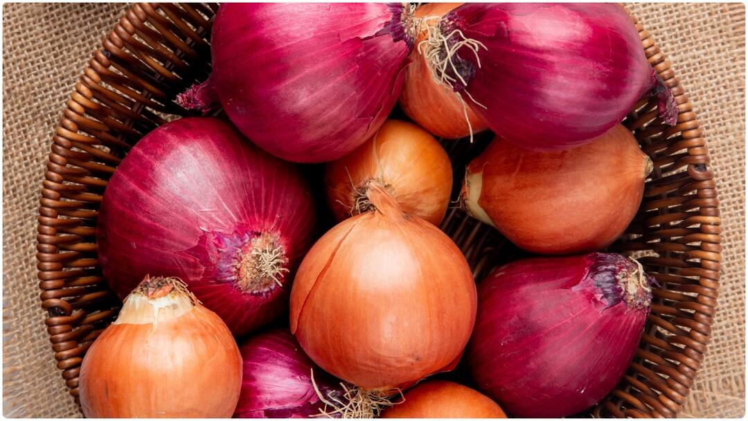 કાચી ડુંગળી ખાવાથી થાય છે આ નુકસાન, વાંચી લેશો તો ખાતા પહેલા 100 વાર વિચારશો raw onion side effects what happens to your body કાચી ડુંગળી ખાવાથી થાય છે આ નુકસાન, વાંચી લેશો તો ખાતા પહેલા 100 વાર વિચારશો