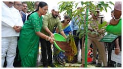 వచ్చే ఎన్నికల్లో 60 సీట్లు మహిళలకే- రుద్రాక్ష మొక్క నాటిన ప్రతిజ్ఞ చేసిన రేవంత్ రెడ్డి 
