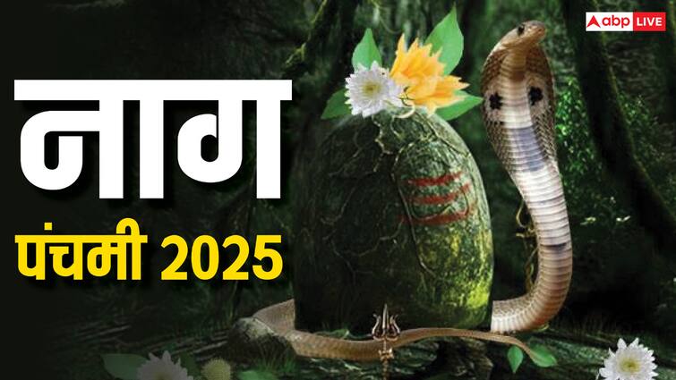 Nag Panchami 2025: नाग पंचमी की पूजा से दूर होगी सभी समस्या, बस कर लें ये एक काम