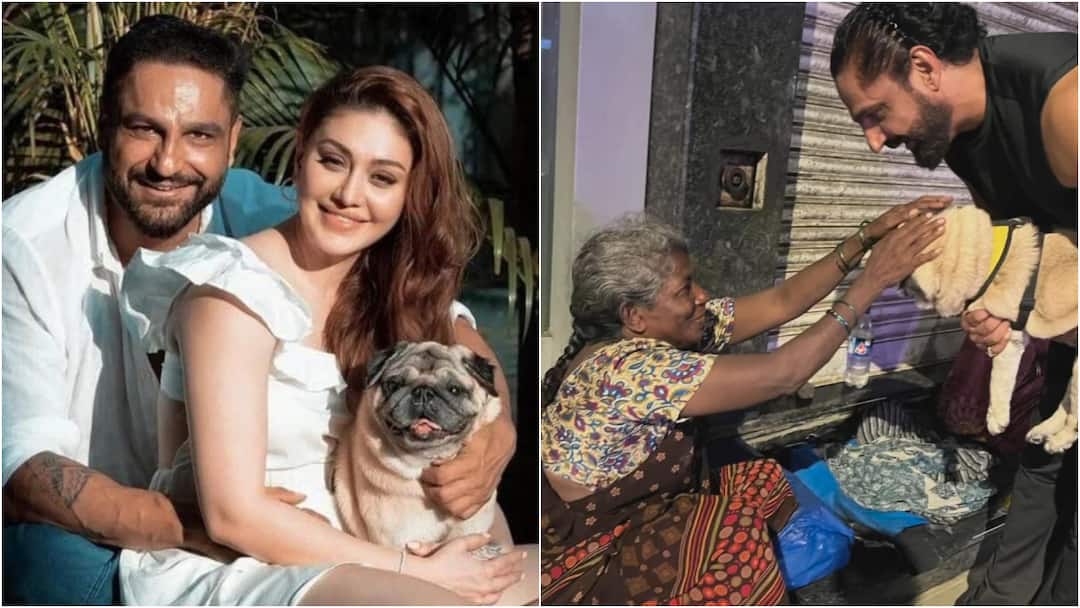 'मां' शेफाली जरीवाला की मौत के बाद बेटे की तरह अंतिम रस्में निभा रहा 'सिम्बा', वीडियो आई सामने Simba Distributes Food After Shefali Jariwala Death Parag Tyagi Shares Video 'मां' शेफाली जरीवाला की मौत के बाद बेटे की तरह अंतिम रस्में निभा रहा 'सिम्बा', वीडियो आई सामने