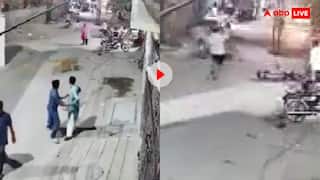 पाकिस्तान में पालतू शेर ने मचाया कहर! सड़क पर चल रहे लोगों पर किया हमला, वीडियो वायरल