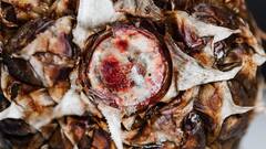 क्या सड़े हुए फलों को खाने से भी हो सकता है शराब वाला नशा? जान लीजिए जवाब