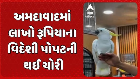 Theft of Exotic Parrots: અમદાવાદમાં લાખો રૂપિયાના વિદેશી પોપટની થઈ ચોરી, આરોપી સીસીટીવીમાં થયો કેદ