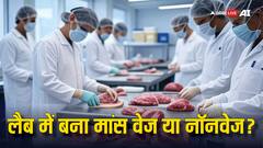 लैब में किस तरह बनाया जा रहा है मांस? जानें ये वेज है या फिर नॉनवेज