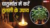 चातुर्मास में रोजाना तुलसी के पास दीपक जलाने के लाभ जानकर रह जाएंगे हैरान