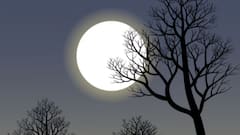 Moonlight Facts: গুচ্ছ গুচ্ছ কবিতা চাঁদের আলো নিয়ে, কিন্তু জোছনার আসল রং কী?