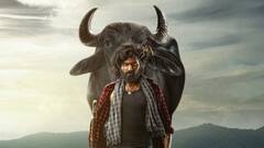 'మారెమ్మ'లో మాస్ మహారాజ్ ఫ్యామిలీ హీరో... మాధవ్ భూపతిరాజు పవర్ ఫుల్ ఫస్ట్ లుక్ చూశారా?