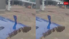 इंडिगो की फ्लाइट पर इस चीज के झुंड ने कर दिया हमला, खौफनाक वीडियो हो रहा वायरल