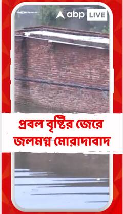 প্রবল বৃষ্টির জেরে জলমগ্ন মোরাদাবাদ, জলের তলায় ১৫ থেকে ২০টি বাড়ি