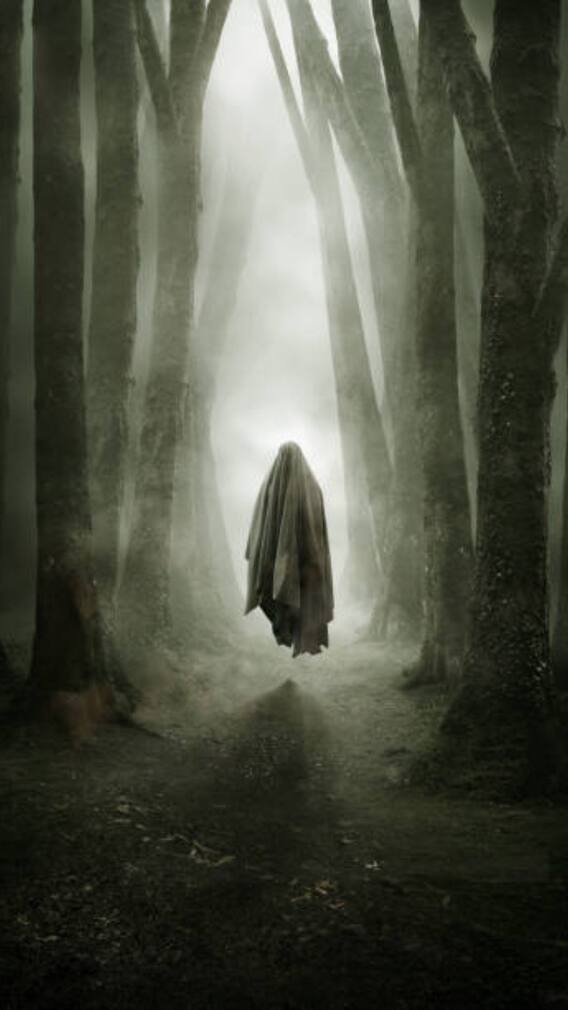 भूत आणि आत्म्याला कोण आपलं शिकार बनवतं?