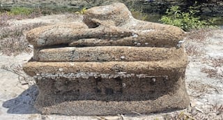 கோரைக்குட்டத்தில் கண்டெடுக்கப்பட்ட ராஜராஜ சோழன் காலத்து ஈழக்காசுகள்! 1100 வருட பழமையான மகாவீரர் சிற்பம்