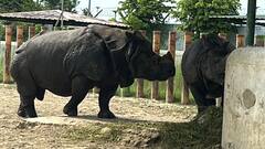 पर्यटकों के लिए 55 दिन बाद खुला गोरखपुर का चिड़ियाघर, जानें एंट्री की टाइमिंग