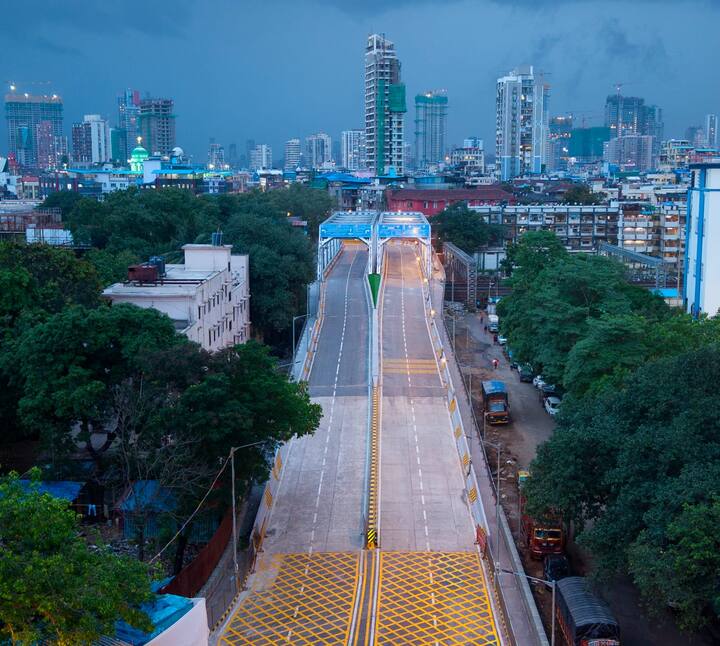 मुंबई शहराच्या दक्षिणेतील पी. डि' मेलो मार्गाकडील बंदर भाग आणि क्रॉफर्ड मार्केट, काळबादेवी, धोबी तलाव ह्या वाणिज्यक भागांना लोहमार्गावरून पूर्व - पश्चिमेला जोडणारा हा महत्त्वाचा दुवा आहे.