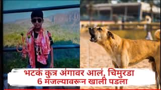 भटका कुत्रा अंगावर धावून आला, 10 वर्षांचा चिमुरडा सहाव्या मजल्यावरुन खाली पडला, जागेवरच जीव सोडला