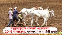 मराठवाड्यात शेतकरी आत्महत्या 20 टक्क्यांनी वाढल्या; पहिल्या सहामाहीत किती मृत्यू, धक्कादायक आकडेवारी