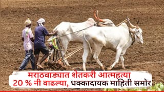 मराठवाड्यात शेतकरी आत्महत्या 20 टक्क्यांनी वाढल्या; पहिल्या सहामाहीत किती मृत्यू, धक्कादायक आकडेवारी