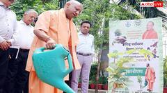 योगी सरकार ने रचा नया कीर्तिमान, आठ साल के कार्यकाल में लगाए तीन करोड़ पौधे