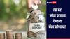 पैशांची गुंतवणूक करायचीय? 'या' बँका FD वर देतायेत मोठा परतावा, गुंतवणूक करण्यापूर्वी जाणून घ्या सविस्तर माहिती