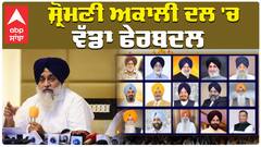 ਸ਼੍ਰੋਮਣੀ ਅਕਾਲੀ ਦਲ 'ਚ ਵੱਡਾ ਫੇਰਬਦਲ