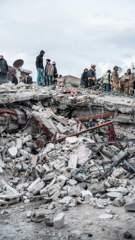 क्या भूकंप आने से पहले भी भौंकते हैं कुत्ते?