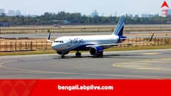 মাঝ আকাশে পাখির গুঁতোয় বেসামাল, ১৭৫ যাত্রী নিয়ে জরুরি অবতরণ ইন্ডিগো বিমানের