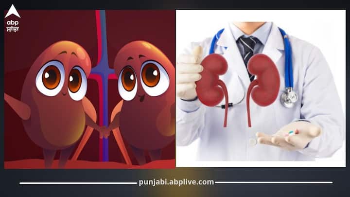 ਗੁਰਦੇ ਸਾਡੇ ਸਰੀਰ ਦੇ ਮਹੱਤਵਪੂਰਨ ਅੰਗਾਂ 'ਚੋਂ ਇੱਕ ਹਨ ਜੋ ਸਰੀਰ ਨੂੰ ਜ਼ਹਿਰੀਲੇ ਪਦਾਰਥਾਂ ਤੋਂ ਸਾਫ਼ ਕਰਨ, ਵਾਧੂ ਪਾਣੀ ਨਿਕਾਲਣ ਅਤੇ ਬਲੱਡ ਪ੍ਰੈਸ਼ਰ ਕੰਟਰੋਲ ਕਰਨ ਦਾ ਕੰਮ ਕਰਦੇ ਹਨ। ਇਨ੍ਹਾਂ ਦੀ ਸਹੀ ਦੇਖਭਾਲ ਲਈ ਸਿਹਤਮੰਦ ਖੁਰਾਕ ਬਹੁਤ ਜ਼ਰੂਰੀ