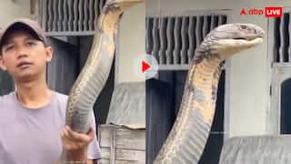 भाई तुझे डर नहीं लगता क्या? शख्स ने रस्सी की तरह पकड़ा आदमखोर दरिंदा, कांप उठे यूजर्स