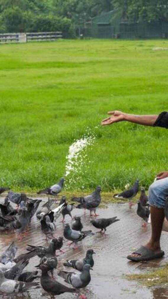 उमस से परेशान दिल्ली, झमाझम बारिश का इंतजार जारी, कब मिलेगी राहत?