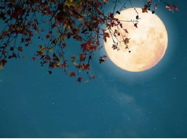 Give the moon to the moon on the night of Ashadh Purnima - 